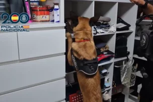 Valensija akcija Pauk