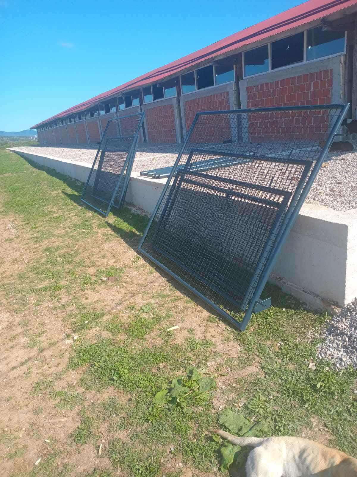 FOTO: USTUPLJENA FOTOGRAFIJA