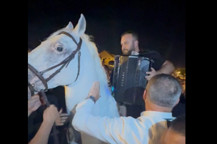 (VIDEO) Svatovi u transu: Borko Radivojević SVIRA HARMONIKU NA KONJU, atmosfera dostigla vrhunac