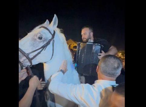 borko radivojević svira harmoniku na konju