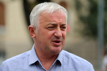 branislav borenović pdp