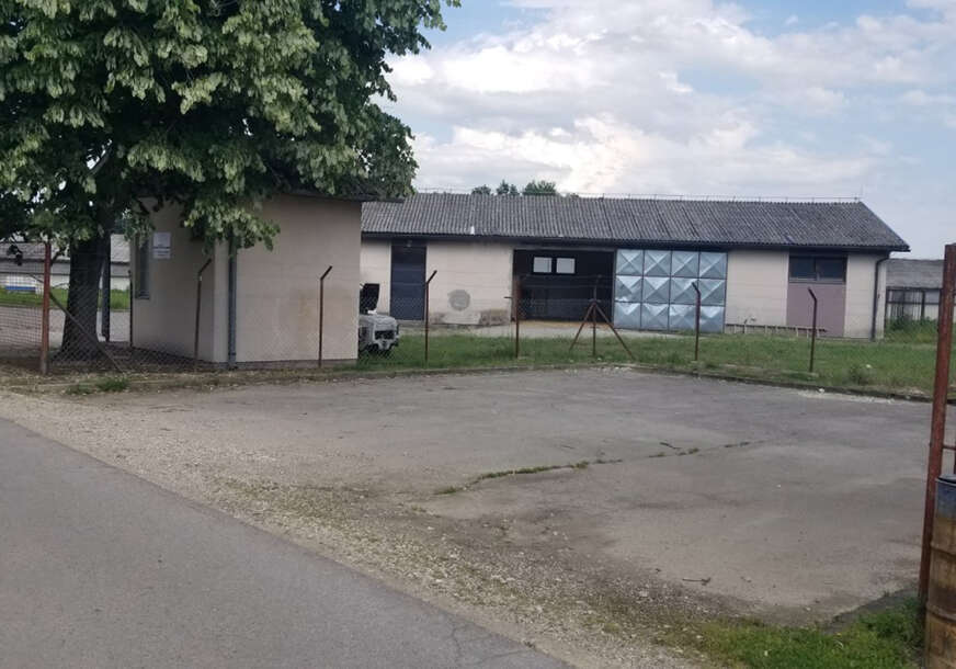 farma ćurki u prnjavoru 