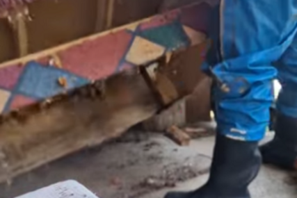 (VIDEO) "Idemo dalje" Poznati srpski hvatač zmija podigao krevet, zatekao horor, pa sproveo AKCIJU ZA PAMĆENJE