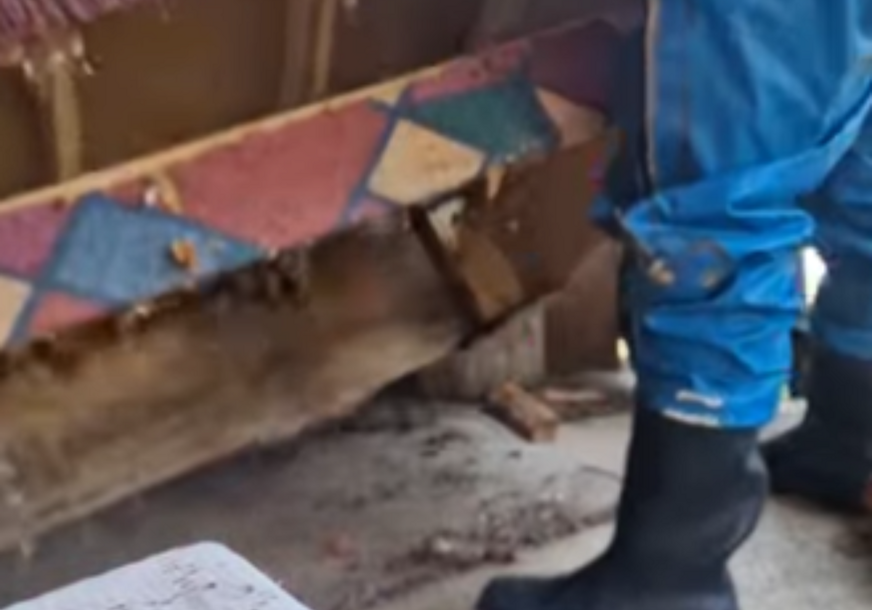 (VIDEO) "Idemo dalje" Poznati srpski hvatač zmija podigao krevet, zatekao horor, pa sproveo AKCIJU ZA PAMĆENJE
