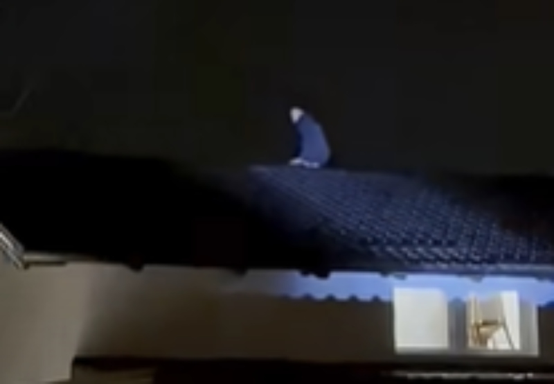 (VIDEO) UHVAĆEN NA DJELU Lopov provalio u kuću, pa 3 sata sjedio na krovu i prijetio da će se ubiti ako mu neko priđe