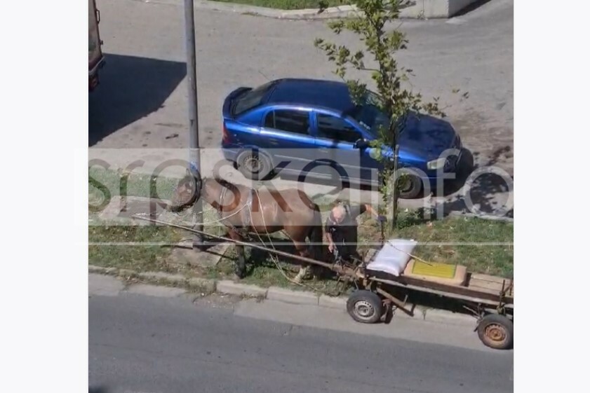 FOTO: SCREENSHOT