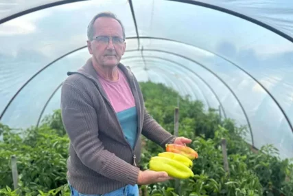 (FOTO) "Najvažnija bezbjednost, od plastenika do trpeze" Veljo otkriva KOLIKO SE PRSKA i tretira povrće u plastenicima