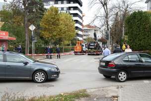 Pauk srušio strujne kablove