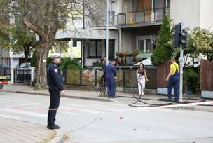 Pauk srušio strujne kablove