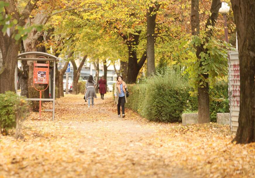 Jesen, lišće, Banjaluka