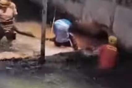 (VIDEO) Kupači doživjeli traumu: Anakonda duga 5 METARA pronađena NA PLAŽI, reagovali vojni vatrogasci