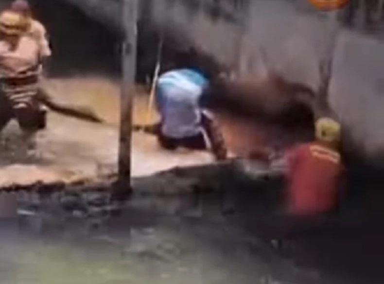 (VIDEO) Kupači doživjeli traumu: Anakonda duga 5 METARA pronađena NA PLAŽI, reagovali vojni vatrogasci