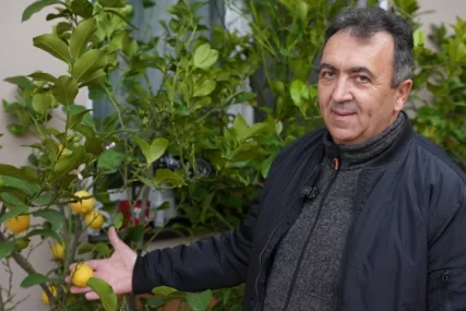 (FOTO) Niko nije vjerovao: Milan ubere PREKO 100 KILOGRAMA KIVIJA u podnožju planine Tare