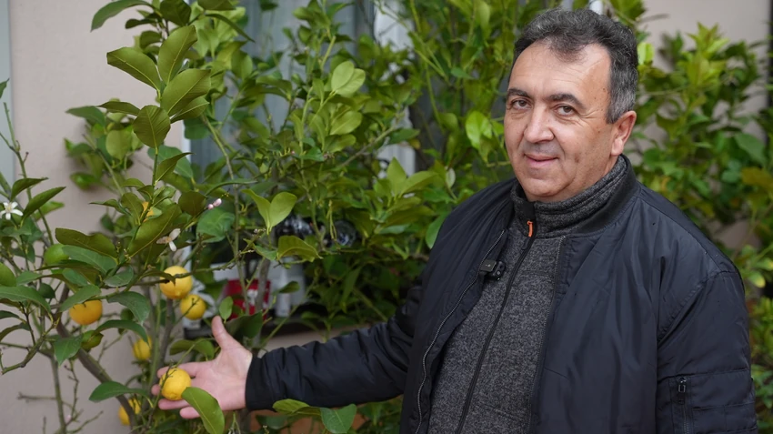 Milan Nikolić