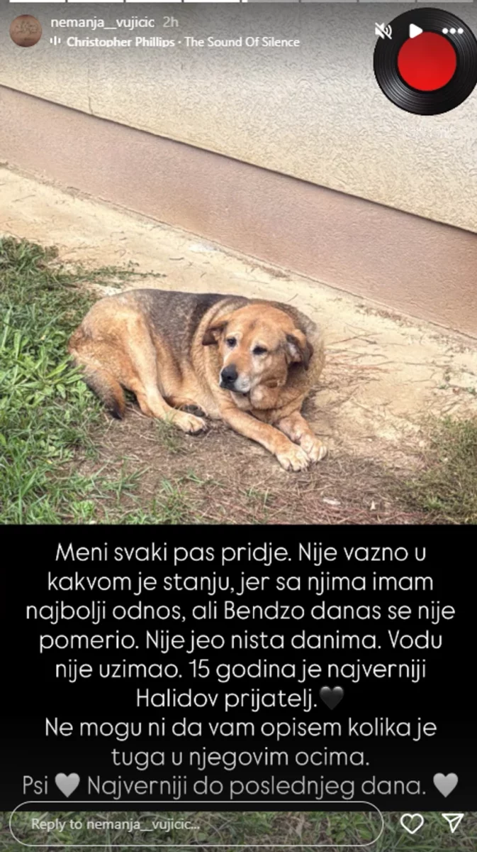 FOTO: NEMANJA VUJIČIĆ PINK / INSTAGRAM