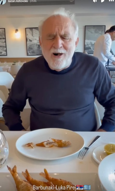 Lazar Ristovski 