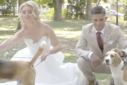 (VIDEO) „Ja sam Rom, a ona bjelkinja“ Lidija i Nenad doživjeli najveće razočarenje na svadbi, evo šta su im RODITELJI priredili