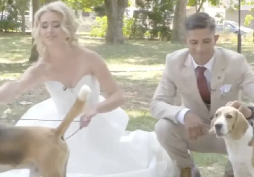 (VIDEO) „Ja sam Rom, a ona bjelkinja“ Lidija i Nenad doživjeli najveće razočarenje na svadbi, evo šta su im RODITELJI priredili