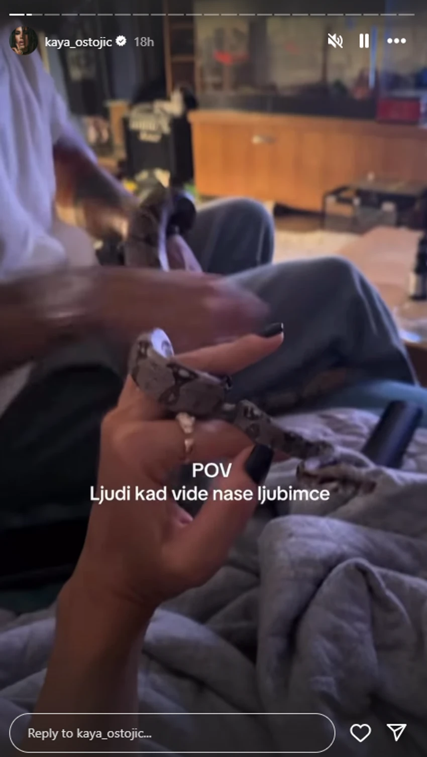 KAJA OSTOJIĆ SE IGRA SA ZMIJOM