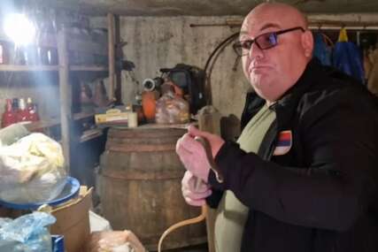 Zmijolovac otkriva zašto se pojavila baš sada: Mještani u čudu i strahu, ne pamte da su ranije vidjeli zmije u oktobru