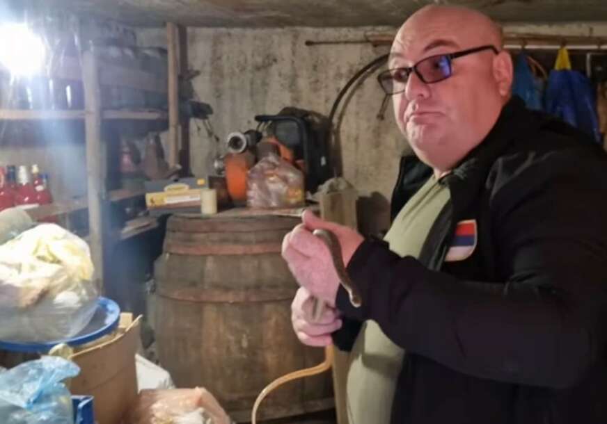 Čovjek drži zmiju