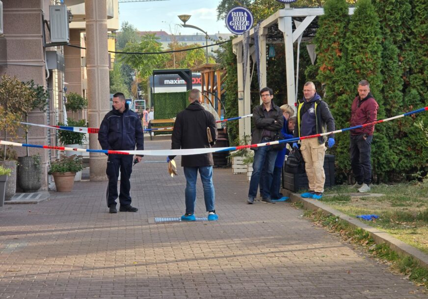 mrtva beba, Novi Sad