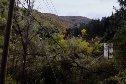 "Živimo jadno i bijedno" Sela u Crnoj Travi odsječena od svijeta, MJEŠTANI BEZ STRUJE, hrane i telefona