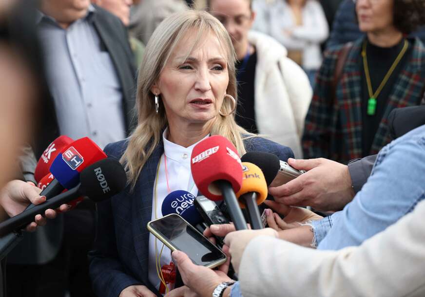 Slađana Mišić Protest vrtići