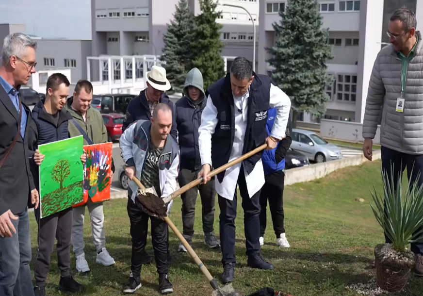Vlado Đajić Posađeno Drvo života ispred UKC Daun Sindrom