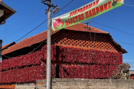 paprike u selu Donja Lokošnica