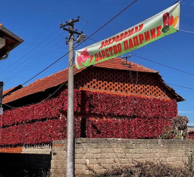 paprike u selu Donja Lokošnica