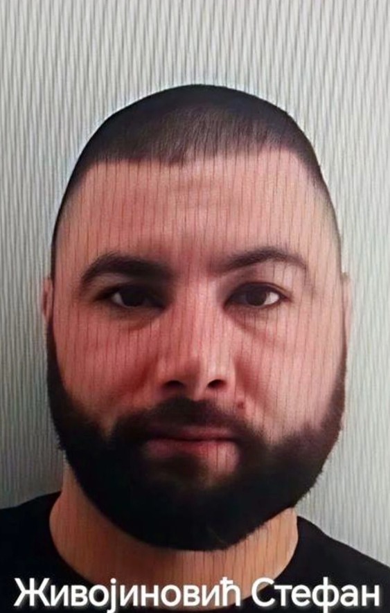 Živojinović Stefan