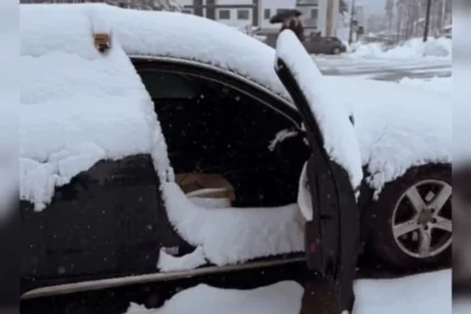 (VIDEO) „Šta se dogodi kada vam kaže da je sama kod kuće“ Vozač na Zlatiboru zaboravio zatvoriti vrata od automobila, jutros ga dočekalo neprijatno iznenađenje  