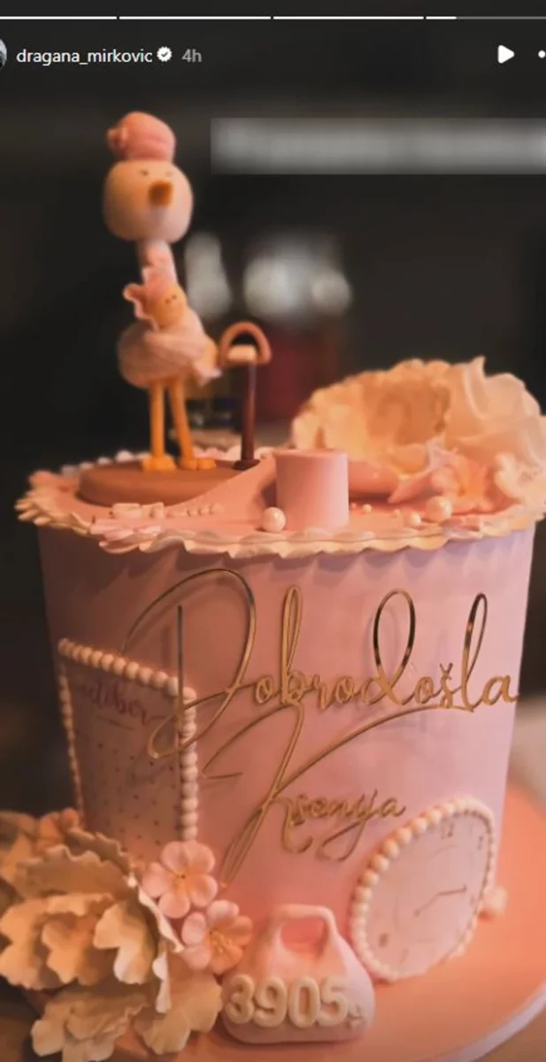 FOTO: DRAGANA_MIRKOVIC/INSTAGRAM/SCREENSHOT