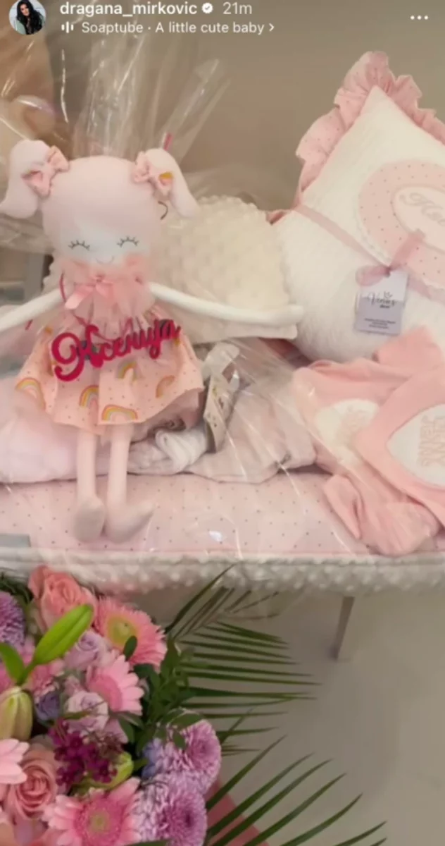 FOTO: DRAGANA_MIRKOVIC/INSTAGRAM/SCREENSHOT