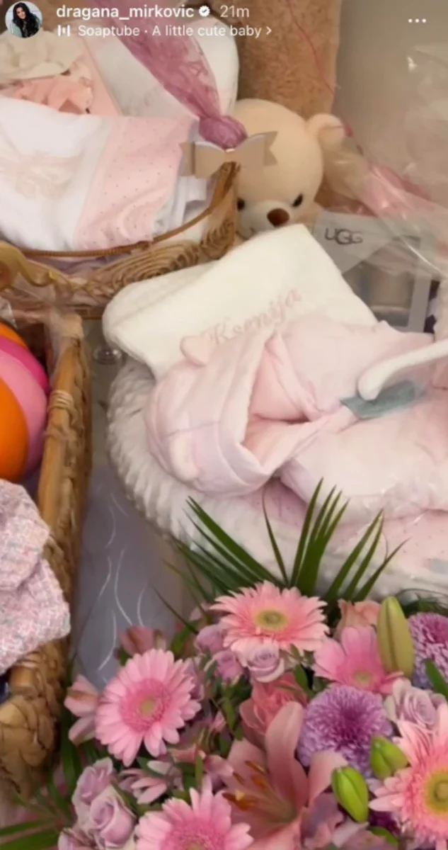 FOTO: DRAGANA_MIRKOVIC/INSTAGRAM/SCREENSHOT