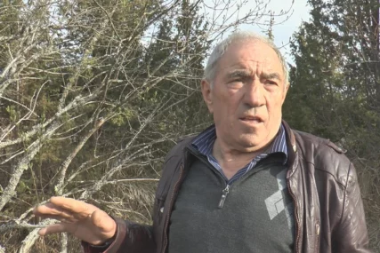 Marjan Rogović