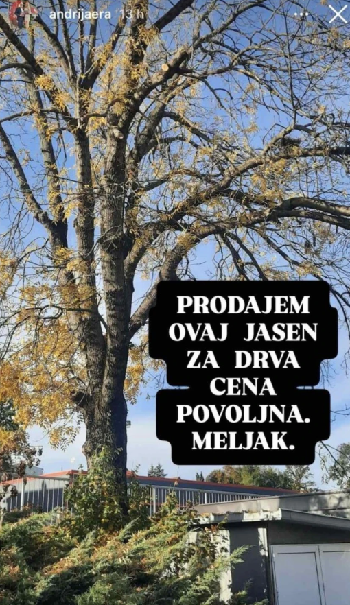 FOTO: ANDRIJAERA/INSTAGRAM