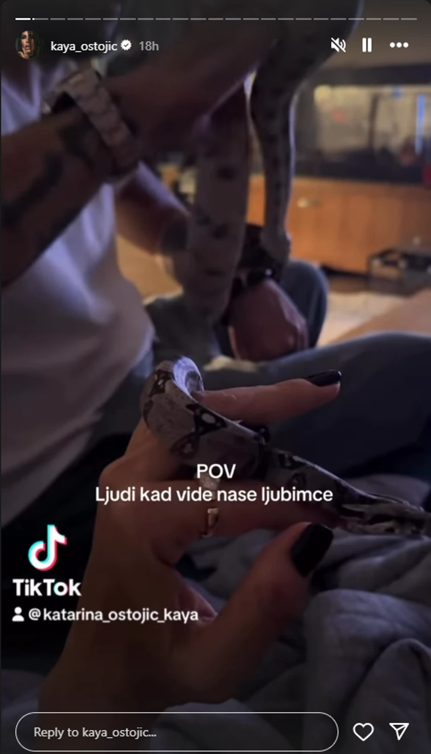 KAJA OSTOJIĆ SE IGRA SA ZMIJOM