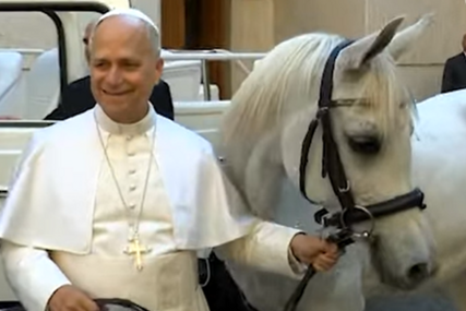 (VIDEO) Prodat na aukciji: Papa Lav XIV dobio bijelog arapskog KONJA NA POKLON, prihod od prodaje ide u humanitarne svrhe