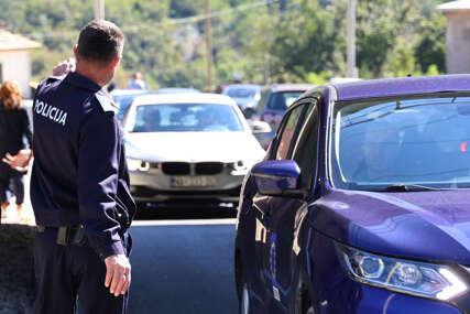 policija federacije bih