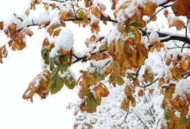 U ovoj evropskoj zemlji hladnije nego u Skandinaviji: Temperatura opala na MINUS 37 STEPENI Celzijusa, sve okovano snijegom i ledom