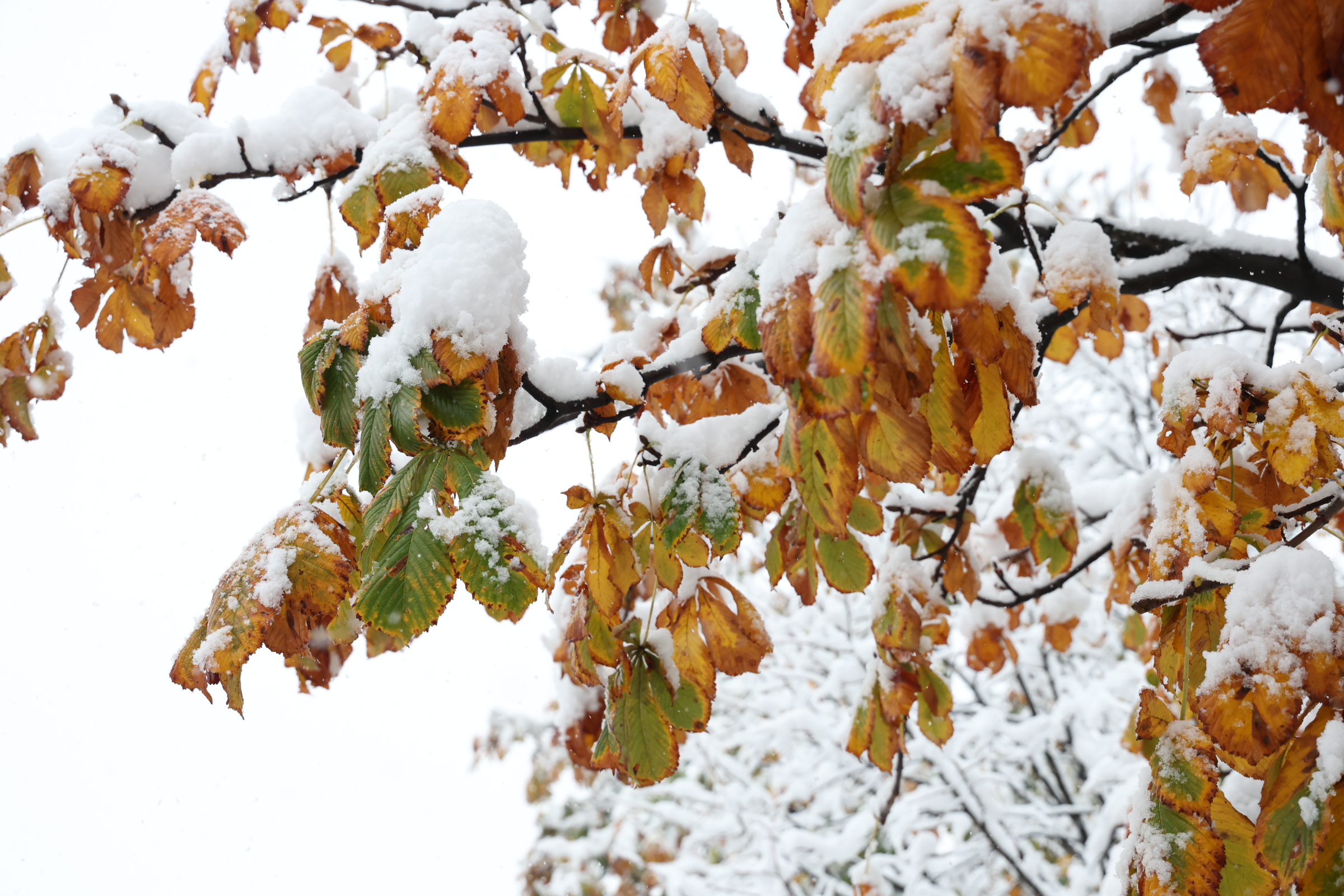 Sutra ujutru do -5, moguća kiša i pokoja pahulja snijega