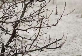 Struje nema u nekoliko opština: Vremenske neprilike paralizovale ovaj dio BiH