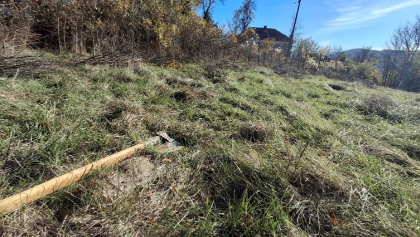 Babušnica ubistvo