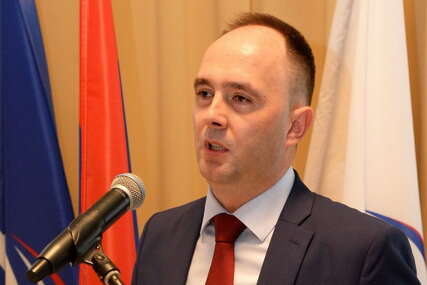 GUBITNIK DANA Diko Cvijetinović