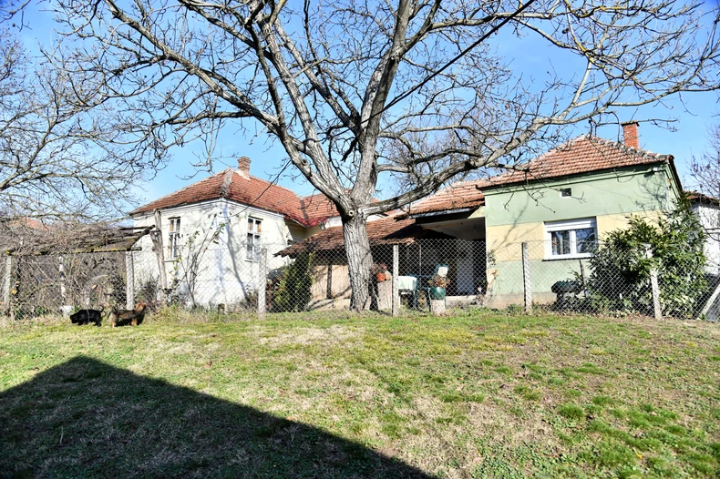 FOTO: MILAN ILIĆ/RINGIER