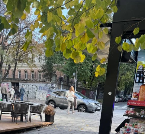 Majka Vujadina Savića 