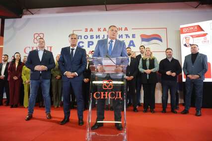 (FOTO) Od osporavanja do oslanjanja: SNSD napada “krnji” Ustavni sud, ali mu “trče” kad zatreba