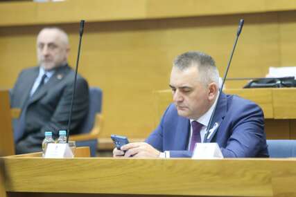 Savo Minić skupština RS